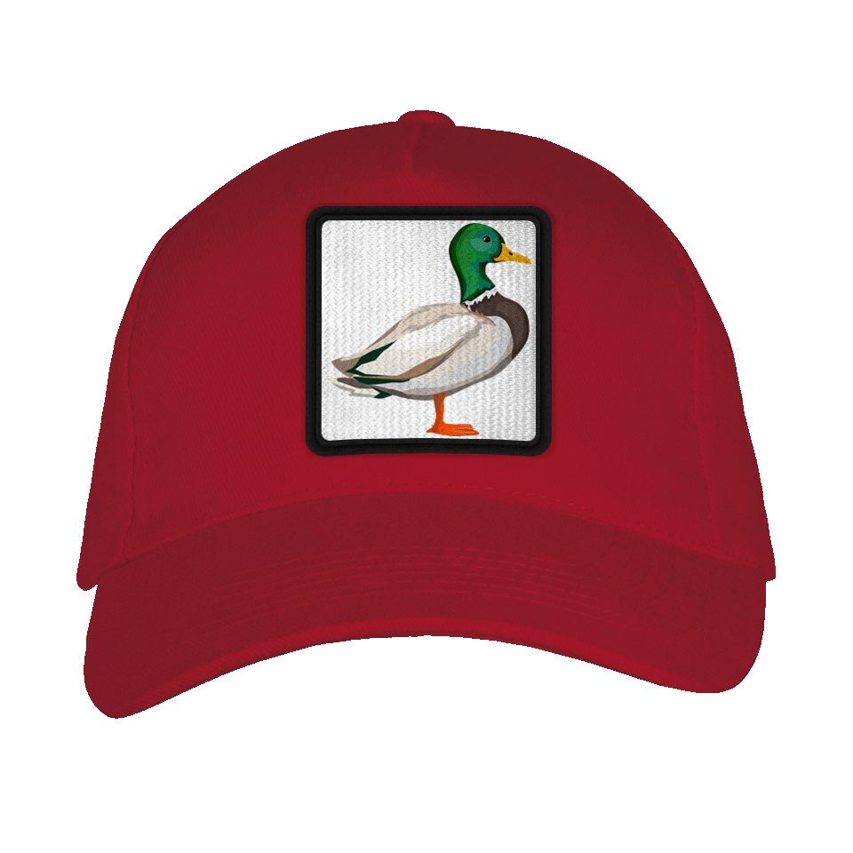 Gorra adulto con parche Pato