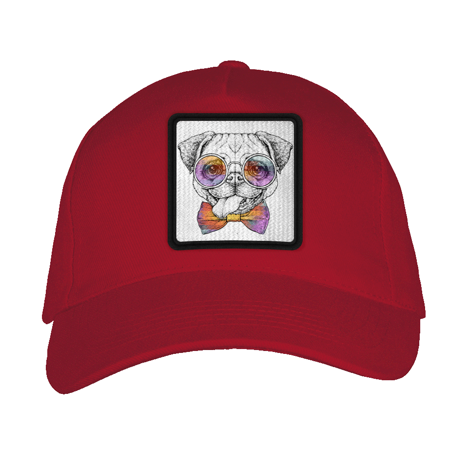 Gorra adulto con parche Pug Hipster