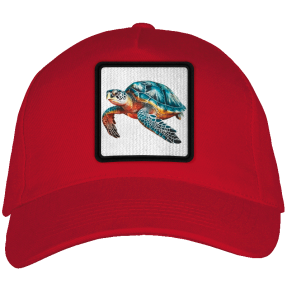 Gorra adulto con parche Tortuga Marina
