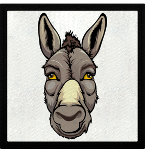 Parche cuadrado asno