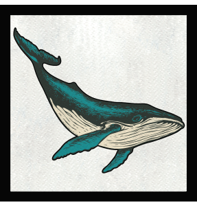 Parche cuadrado ballena