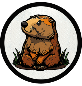 Parche redondo castor