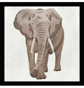 Parche cuadrado elefante