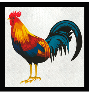 Parche cuadrado gallo