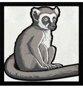 Parche cuadrado lemur