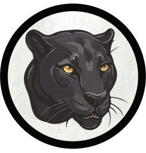 Parche redondo pantera