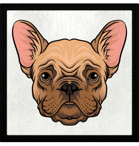 Parche cuadrado pug de frente