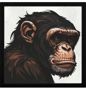 Parche cuadrado simio