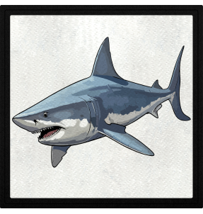 Parche cuadrado tiburón blanco