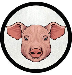 Parche redondo cerdo