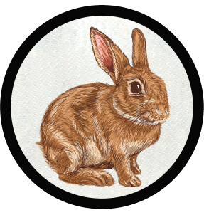 Parche redondo conejo
