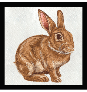 Parche cuadrado conejo