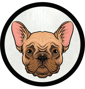 Parche redondo pug de frente