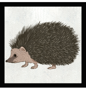 Parche cuadrado erizo