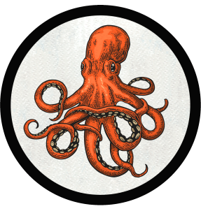 Parche redondo pulpo