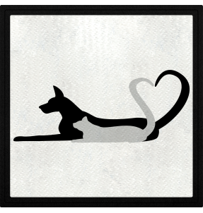 Parche cuadrado silueta de un perro y un gato formando un corazón