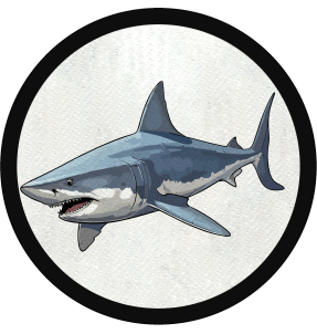 Parche redondo tiburón blanco