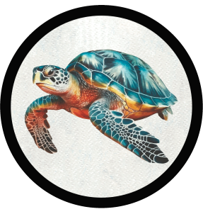 Parche redondo tortuga marina