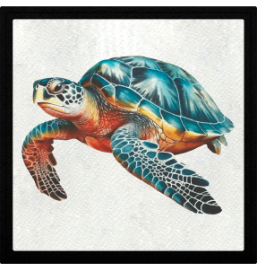 Parche cuadrado tortuga marina