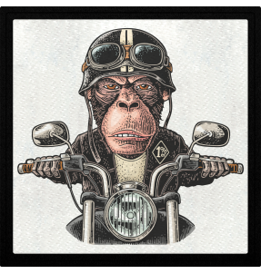 Parche cuadrado primer mono motero