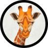 Parche redondo jirafa