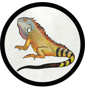 Parche redondo iguana