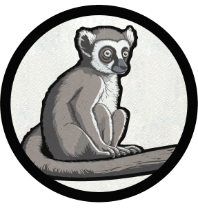 Parche redondo lemur