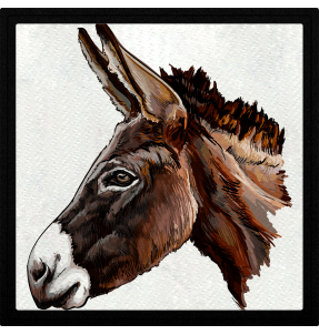 Parche cuadrado cabeza de burro