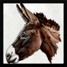 Parche cuadrado cabeza de burro