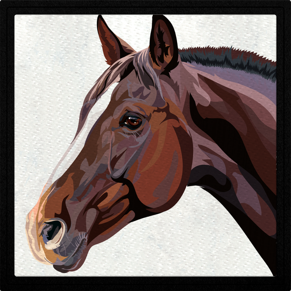 Parche cuadrado cabeza de caballo