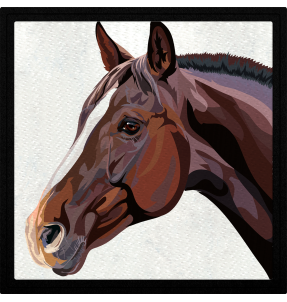 Parche cuadrado cabeza de caballo