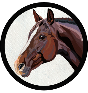 Parche redondo cabeza de caballo