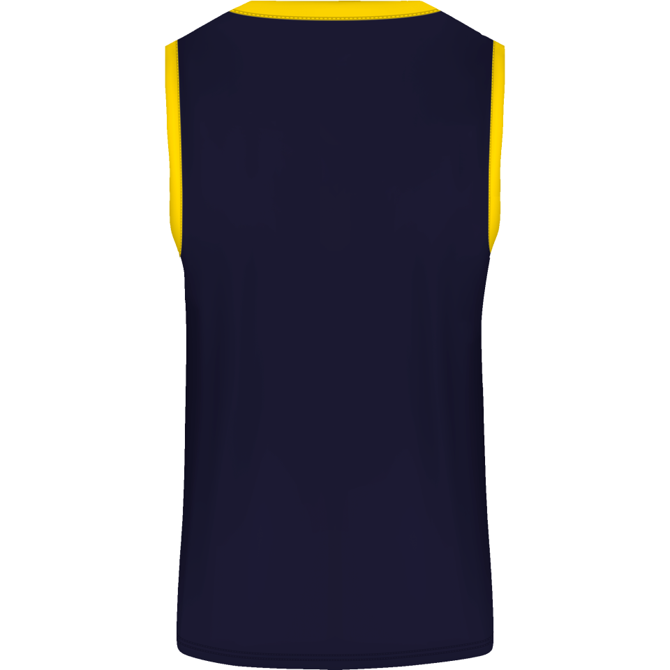 Camiseta baloncesto sublimada modelo Tricolor personalizada