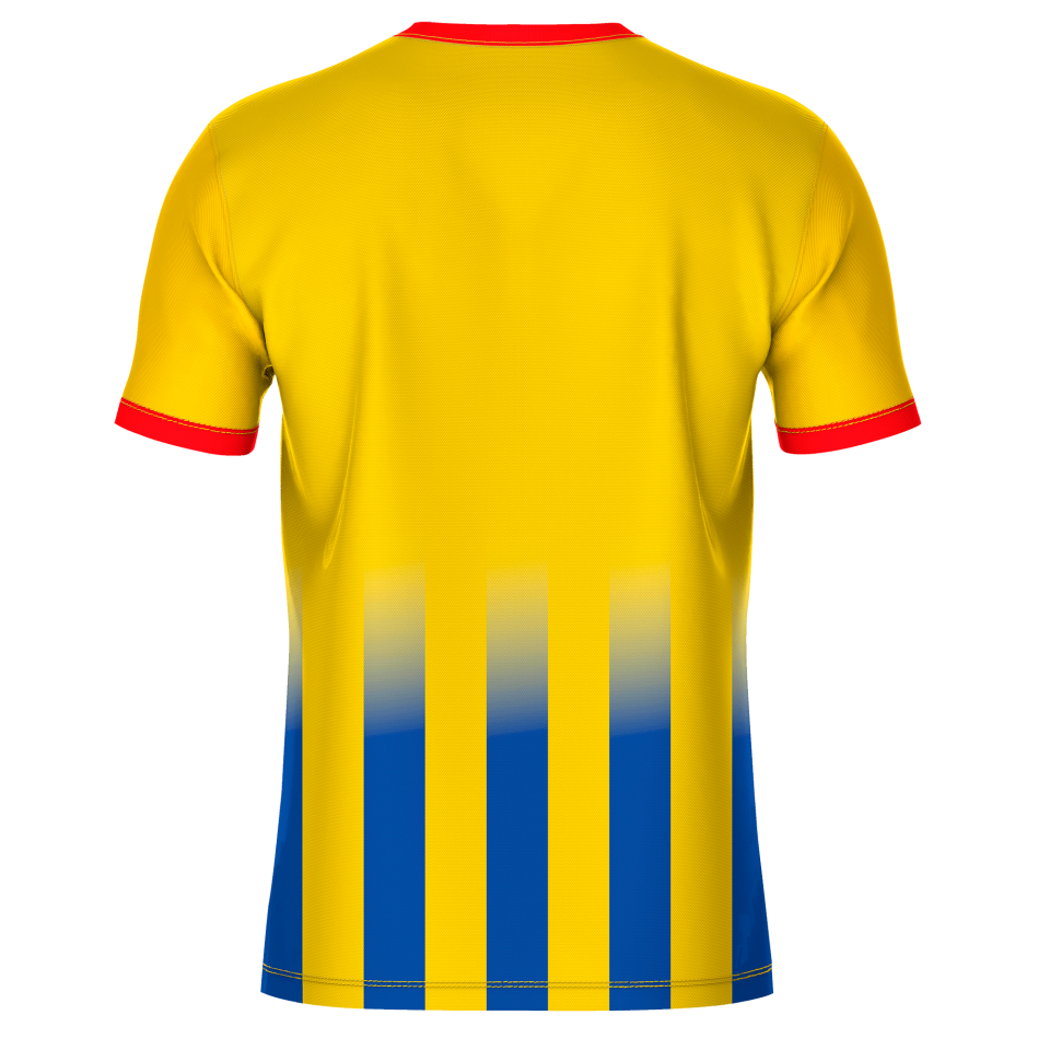 Camiseta de Equipación Fútbol con Cuello Redondo Personalizable