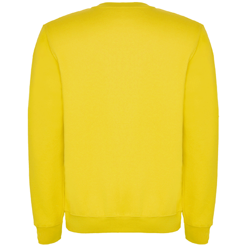 Sudadera básica personalizada. La más barata