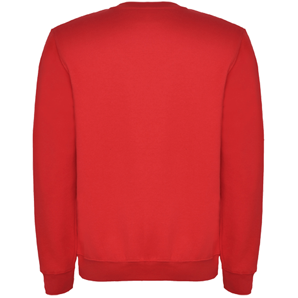 Sudadera básica personalizada. La más barata