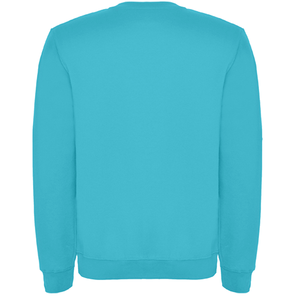 Sudadera básica personalizada. La más barata