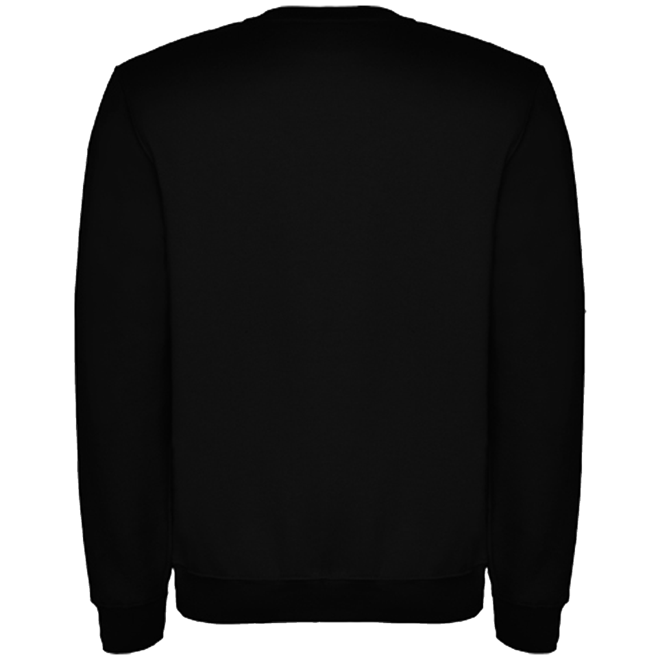 Sudadera básica personalizada. La más barata