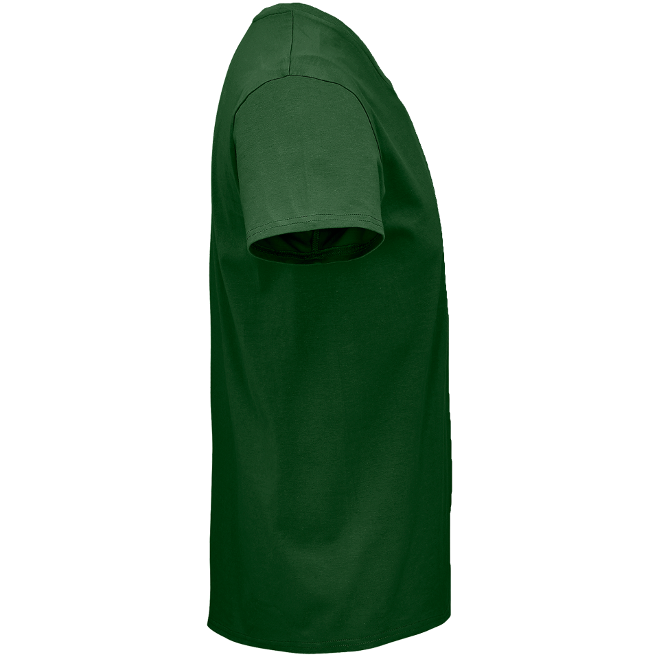 Camiseta 4XL premium personalizada