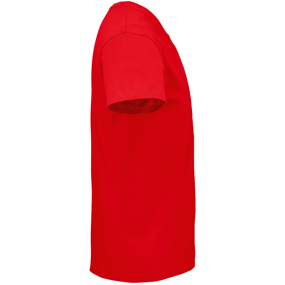 Camiseta 4XL premium personalizada