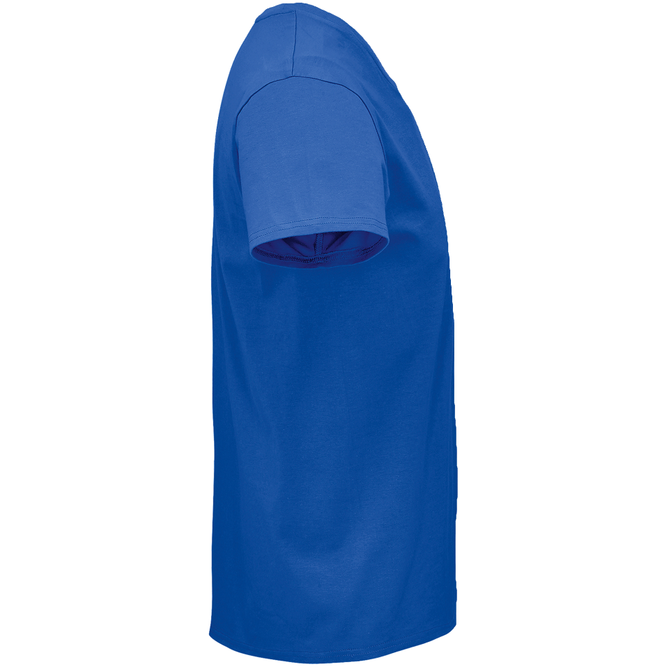 Camiseta 4XL premium personalizada