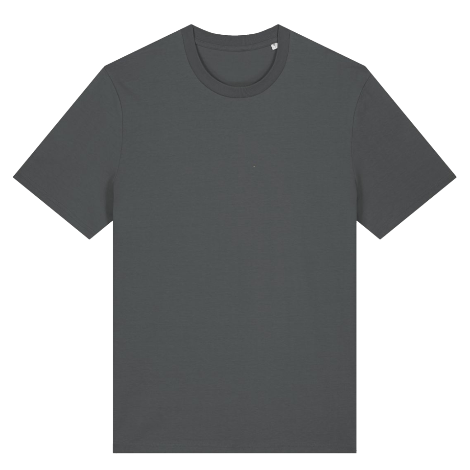 Camiseta premium algodón orgánico personalizada Stanley/Stella Creator