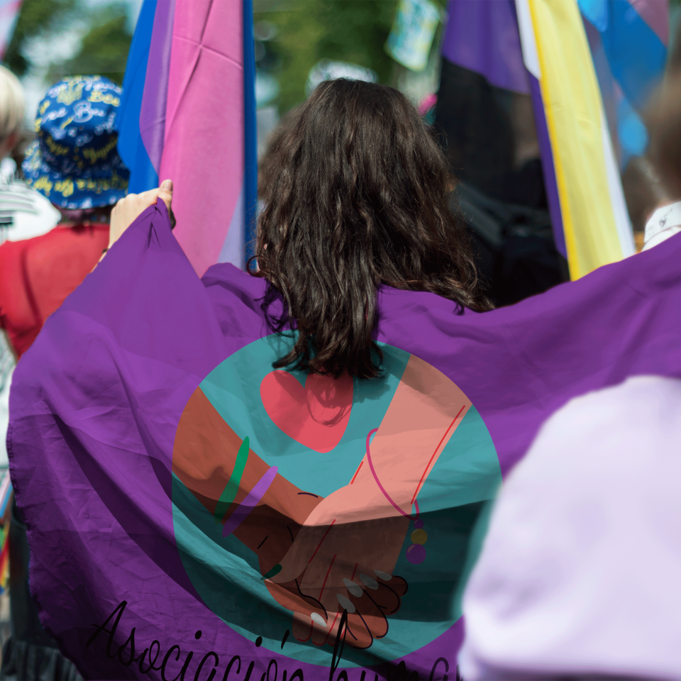 Bandera 100x150 cm con gomas personalizada