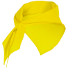 Pañoleta Festero triangular de poliéster personalizado