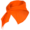 Pañoleta Festero triangular de poliéster personalizado