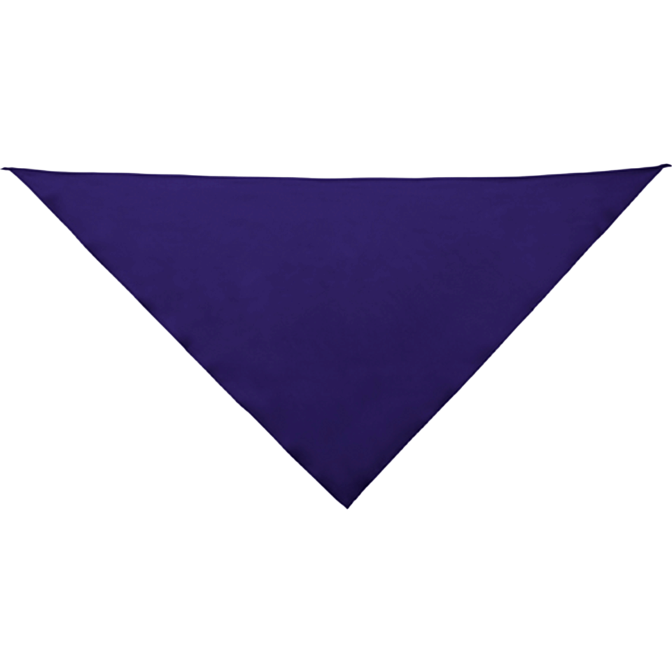 Pañoleta Festero triangular de poliéster personalizado