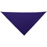 Pañoleta Festero triangular de poliéster personalizado