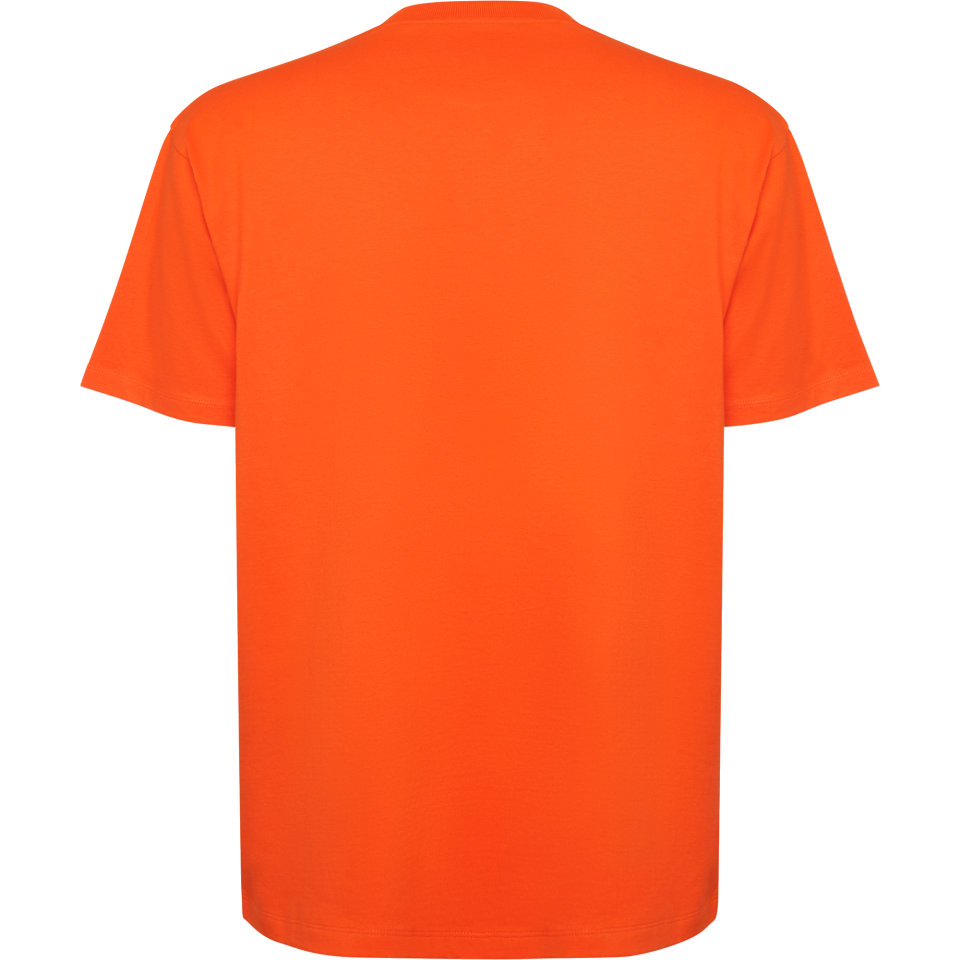 Camiseta oversize bull personalizada