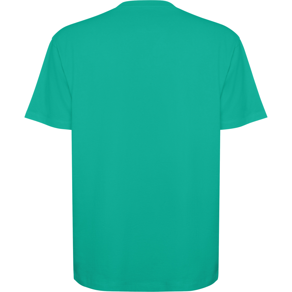 Camiseta oversize bull personalizada