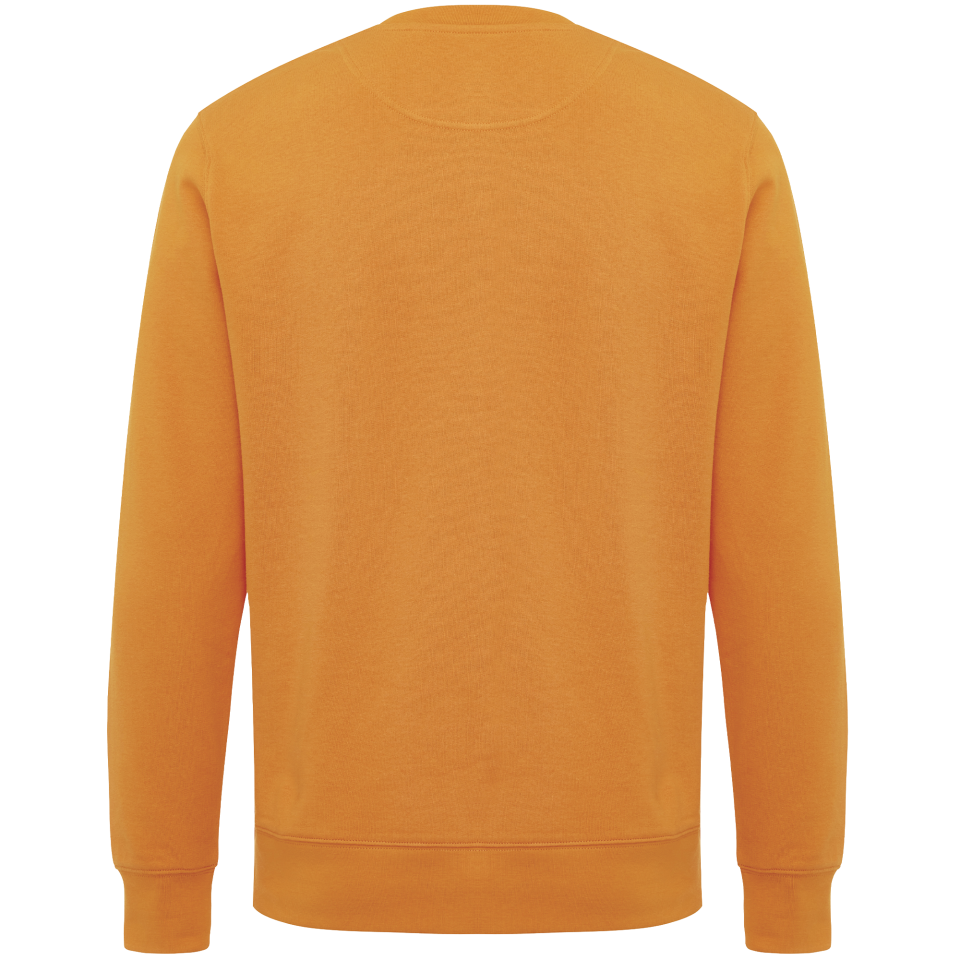 Sudadera algodón orgánico 3XL personalizada